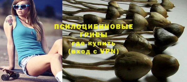стафф Абинск