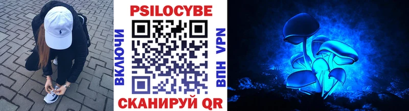 Галлюциногенные грибы мицелий Камызяк