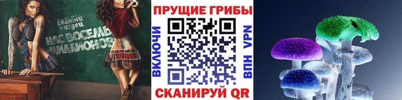 Псилоцибиновые грибы GOLDEN TEACHER Камызяк